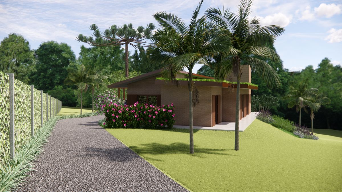 Projeto Viva — imagem 48